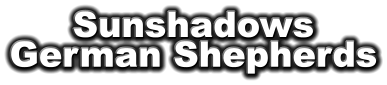 Sunshadows German Shepherds