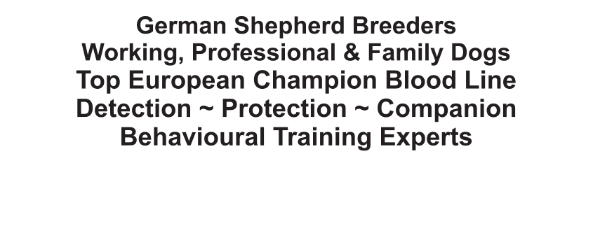 German Shepherd Breeders Working, Professional & Family Dogs Top European Champion Blood Line  Detection ~ Protection ~ Companion Behavioural Training Experts
