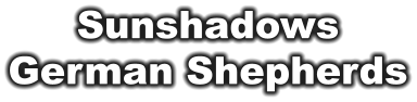 Sunshadows German Shepherds